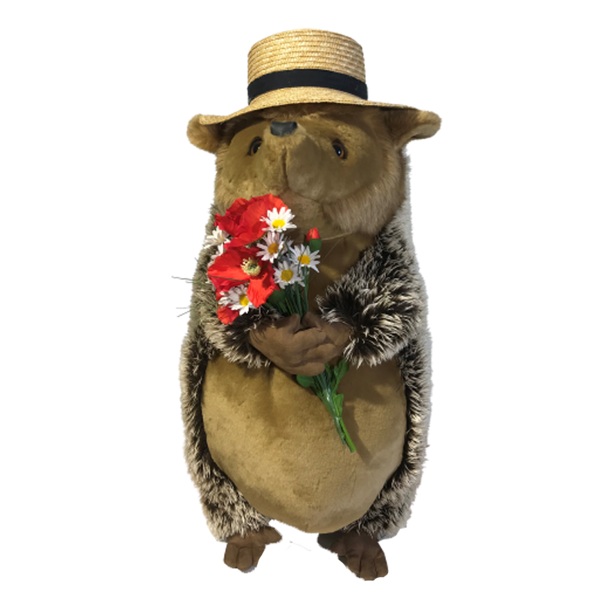 Hérisson debout avec bouquet de fleurs