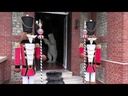 youtube - [Video]