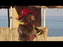 youtube - [Video]