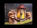 youtube - [Video]