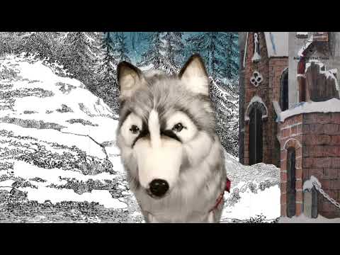 youtube - [Video]
