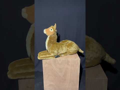 youtube - [Video]