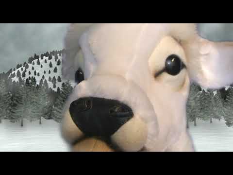 youtube - [Video]