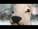 youtube - [Video]