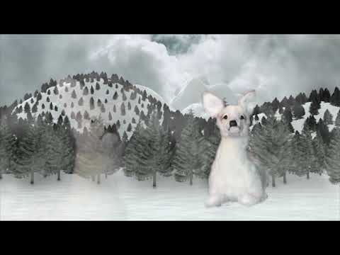 youtube - [Video]