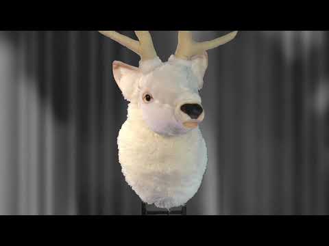 youtube - [Video]
