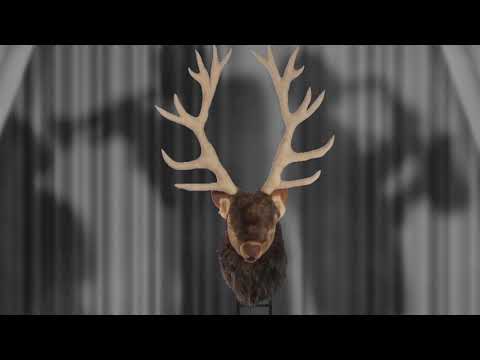 youtube - [Video]