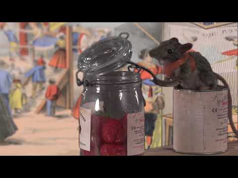 youtube - [Video]