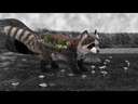 youtube - [Video]