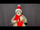 youtube - [Video]