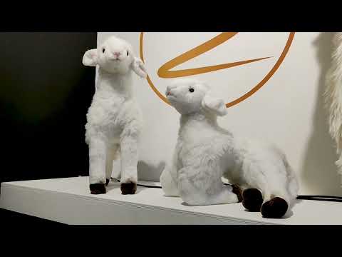 youtube - [Video]