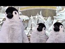 youtube - [Video]