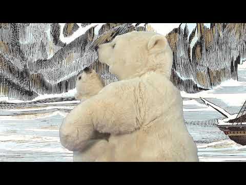 youtube - [Video]