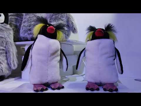 youtube - [Video]