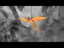 youtube - [Video]