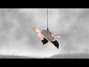 youtube - [Video]