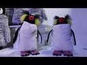 youtube - [Video]