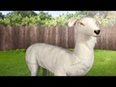 youtube - [Video]