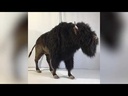 youtube - [Video]