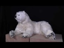 youtube - [Video]
