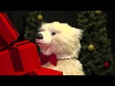 youtube - [Video]