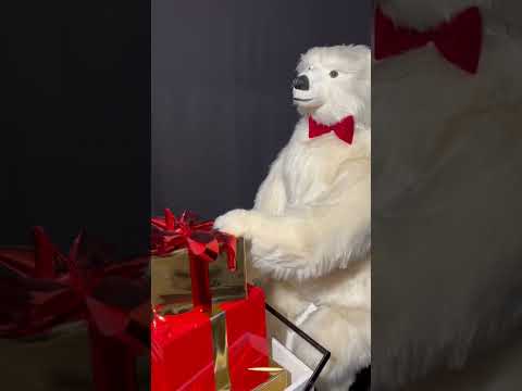 youtube - [Video]