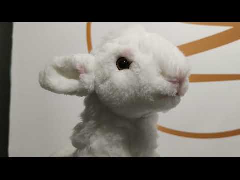 youtube - [Video]