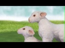 youtube - [Video]
