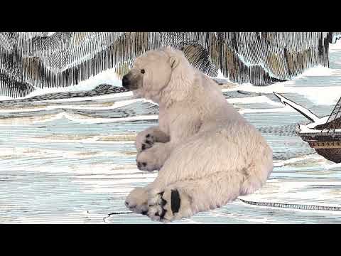 youtube - [Video]