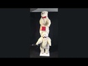 youtube - [Video]