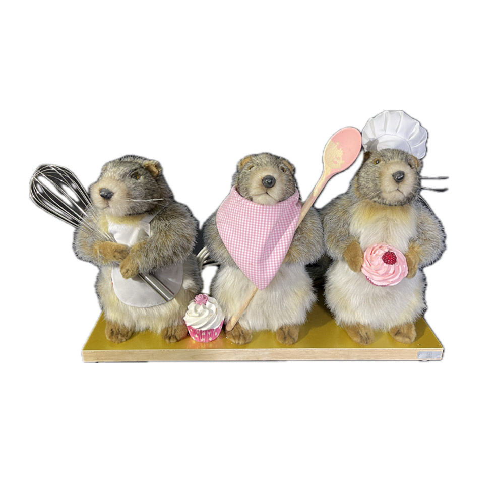 THREE COOK MARMOTS