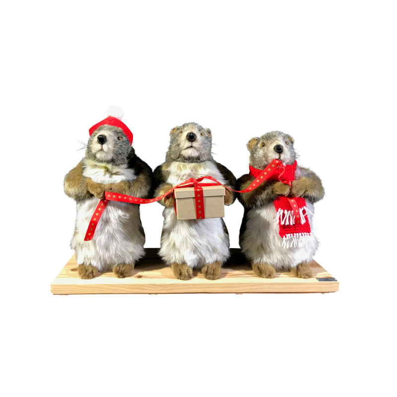 [18599] THREE CHRISTMAS MARMOTS