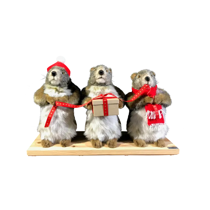 TROIS MARMOTTES DE NOEL