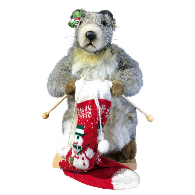 MARMOT KNITTING A CHRISTMAS SOCK