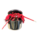 L'ÉCHAPPÉE DE MAÎTRE HOMARD