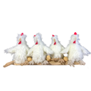 POULES PAR 4