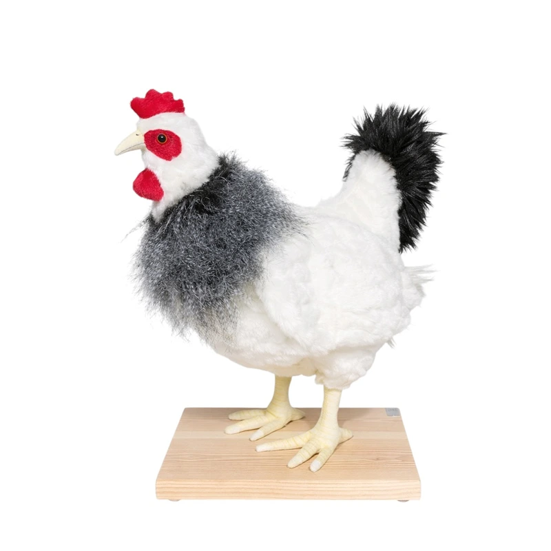 [26816L] WHITE HEN