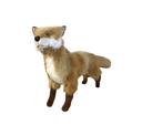 RENARD ROUX DEBOUT