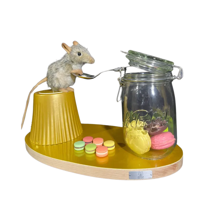 [25796L] SOURIS BOCAL GOURMANDISE