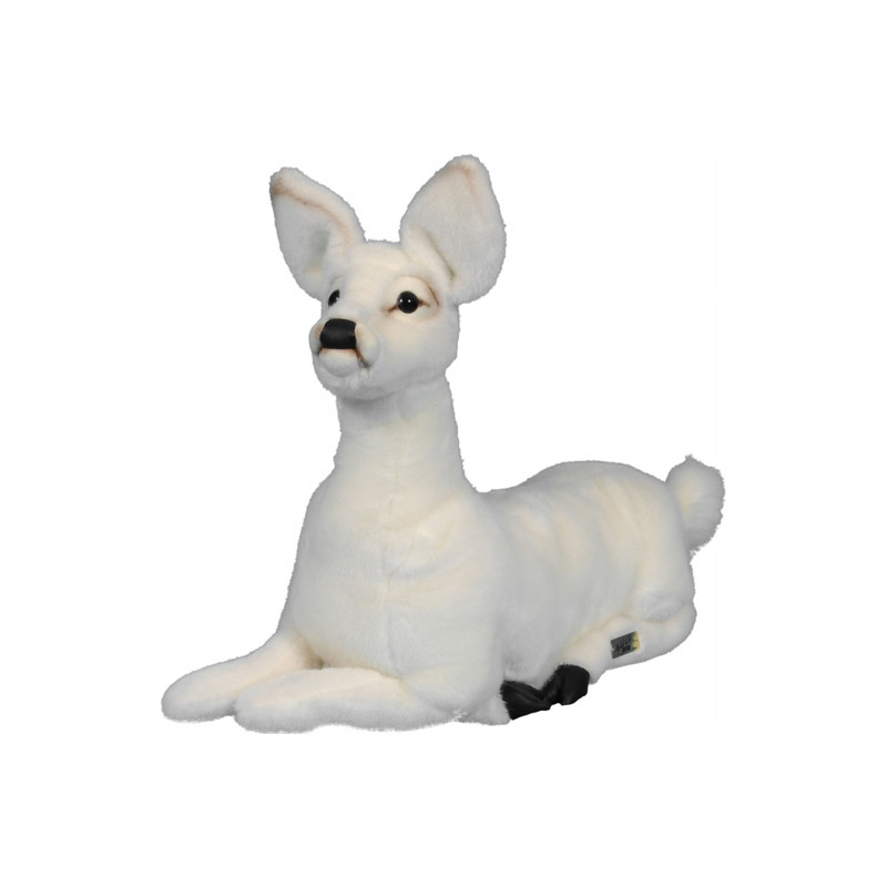 [10407] FAON BLANC ALLONGE