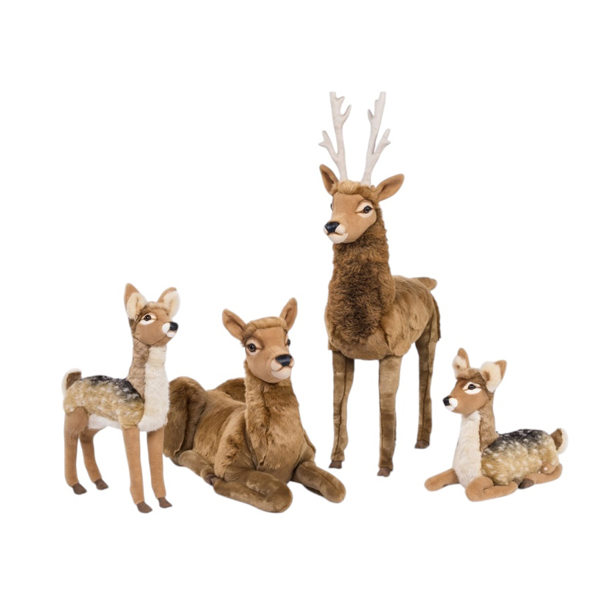 [16535F] CERF NATUREL FAMILLE COMPLÈTE