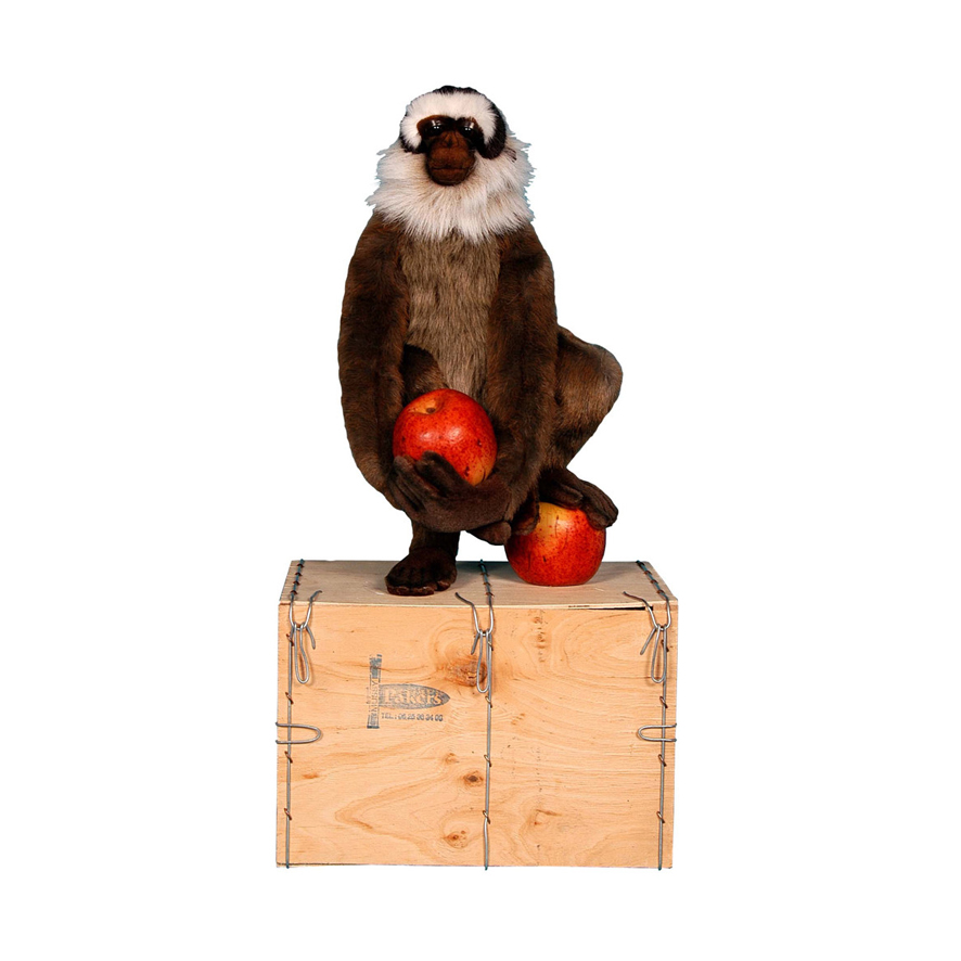 [28338] STANDING MONKEY APPLE