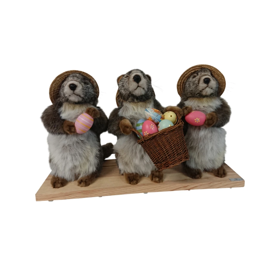 [19640] MARMOTTES PAR TROIS DE PÃ‚QUES