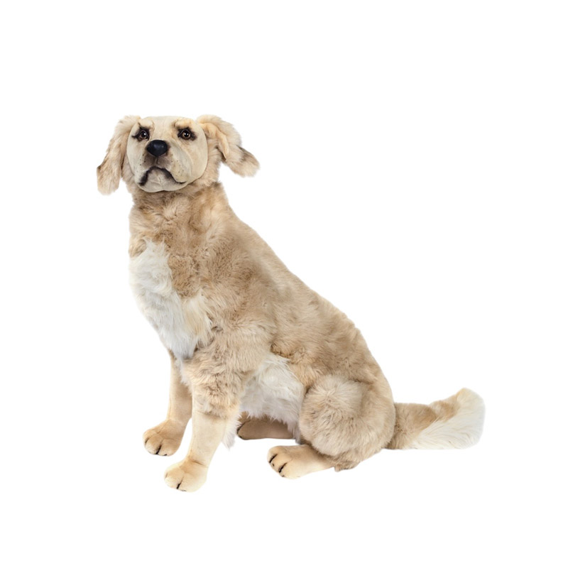 [15526] DOG GOLDEN SITTING