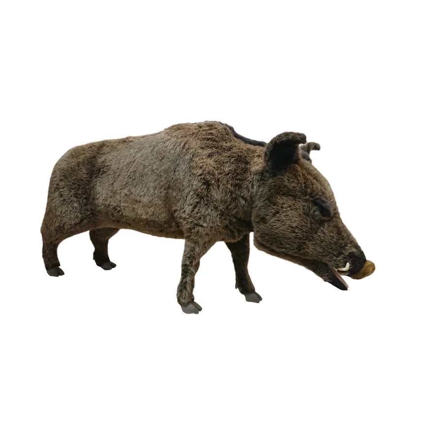 SANGLIER