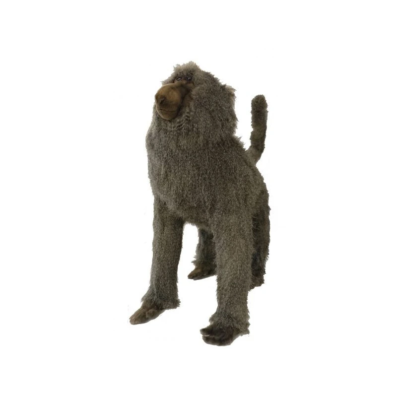 [19643] BABOON