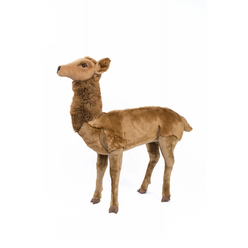 [16539] BICHE NATURELLE COU DROIT