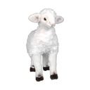 LAMB STANDING