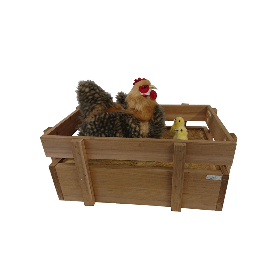 [19621] POULE ET POUSSINS