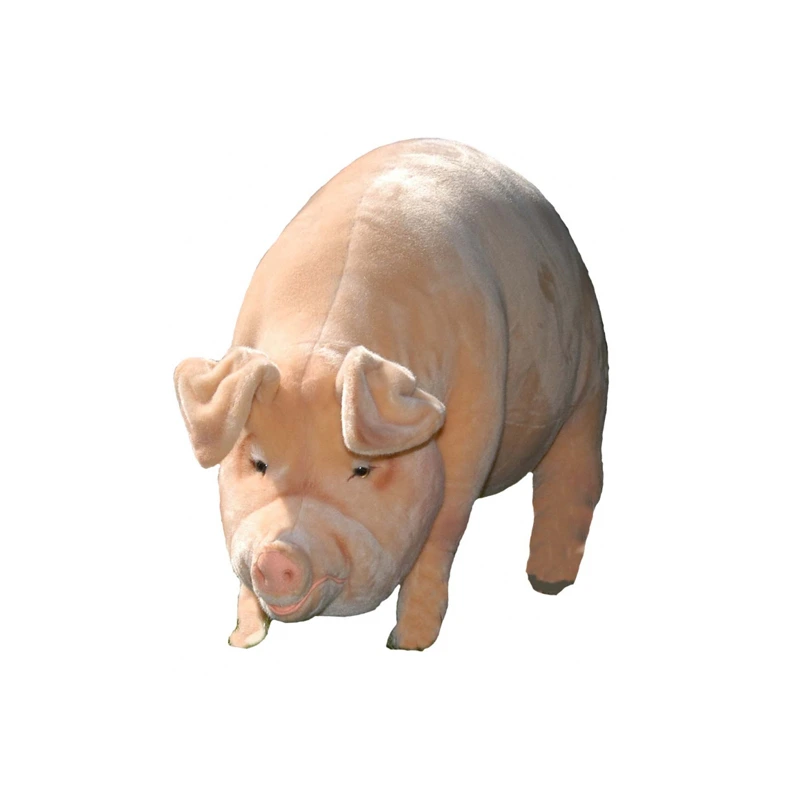 [26267L] PIG